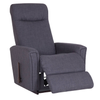 Grey Adjustible Recliner